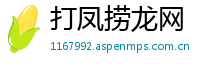 打凤捞龙网
